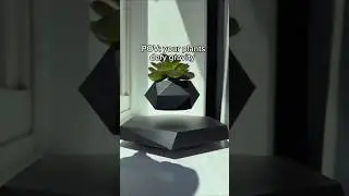 Magical Floating Plant😱 | #youtubeshorts #shorts #tech #trending #gadgets #magic #plants
