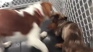 TPSB PK Waffles & Tuck - Once Again