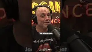 Dr  Phil vs  Bum Fights  A Hilarious Encounter!