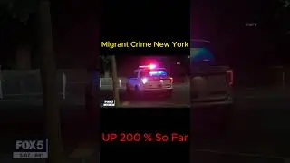 Shocking Crime Spike in New York City #shorts #crime