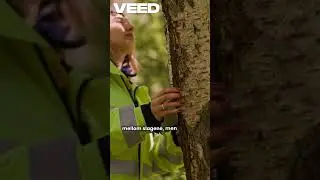 Regelrytteren fra Notodden