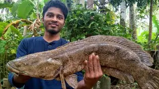 തൂളിയും വാഹയും പിടിച്ചു  പക്ഷെ 👉👉👉. kerala traditional fishing. lure fishing