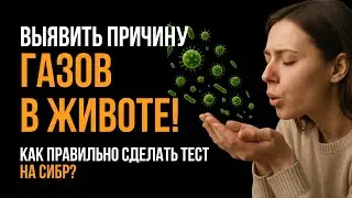 Газы в Кишечнике: этот простой тест покажет причину и поможет вылечить газообразование!