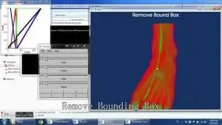 FLTK / VTK project demo: Volume Rendering (Color Transfer Function, Shadow)