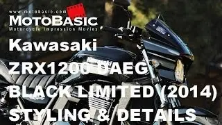 ZRX1200 DAEG BLACK LIMITED (カワサキ/2014) スタイリング＆ディティール Kawasaki ZRX1200 DAEG BLACK LIMITED