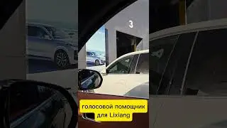 Голосовой помощник Lixiang  в работе!