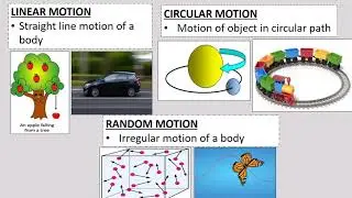 Rest and Motion