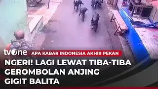 Kawanan Anjing Serang Bocah di Bandung | AKAP tvOne