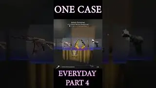OPENING A CSGO CASE EVERYDAY | PART 4 | Winter Offensive Weapon Case