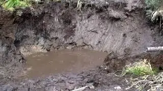 MOV150