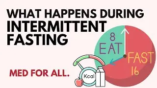 Why Intermittent Fasting Works: 4 Phases of Benefits (2024)