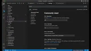 Run Laravel Pint on File Save on VSCODE