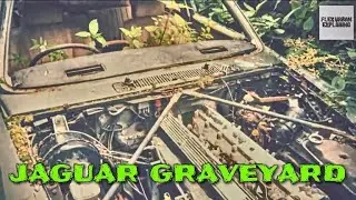 Horncliff Mansion AKA Jaguar graveyard full of abandoned cars! Barn find!