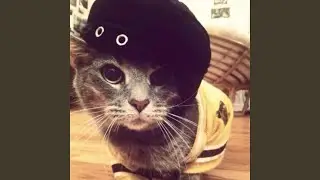 make a feeling (feat. Cyrus)
