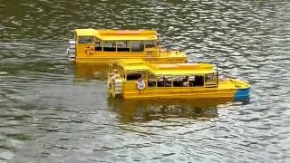 Amphibious models in action, Gibbs Aquada + Duck-Tours DUKWs