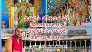 മധുര മീനാക്ഷി ക്ഷേത്രം#bhatji'svlog#travel #temple #madurai #meenakshi