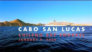 Chileno Bay Snorkel - Cabo San Lucas