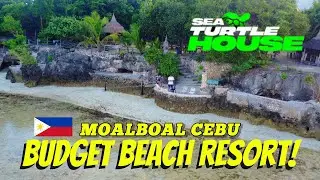 Moalboal on a Budget: Sea Turtle House Resort Tour
