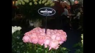 Agriflor 2010, 2011, Trade show Ecuador, Expoflores, Quito, Ecuadorian Roses
