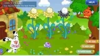 Moshi Monsters Moshling Codes - How to get Doris Moshling