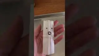 10 29 18 fly tea bag ghost