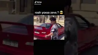 ZEVS-ROSH QARDASLİĞİ