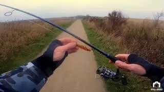 Havørred 🐟 Stibjerg Strand 🙏  Sjælland 🎣