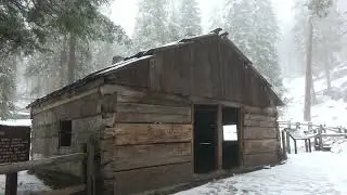 Gamlin Cabin in Kings Canyon N  P  California