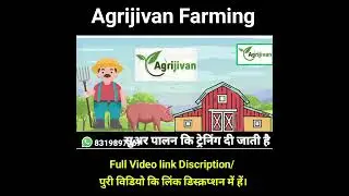 घर बैठे सुअर पालन सीखने का तरीका | suar palan ki training aur jankari kahan milegi |