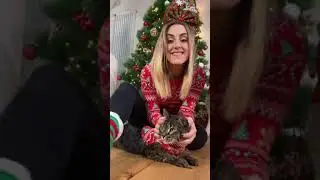 CREO un MAGLIONE NATALIZIO per CANI e GATTI🐶🎄🙀 #natale #cane #gatto #dog #cat #pets