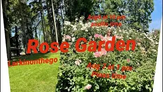 #rose garden#emerald park#oregon