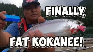 Finally, Fat Kokanee! Spring fishing Kawkawa Lake BC. Pre Family event Fishing.