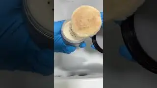 今天断舍离后的小感悟：人的欲望太大了，小心丰富中变得匮乏… #爱干净的女人 #打扫卫生 #如何把家里收拾的干净又整洁 #生活vlog日常记录 #在平凡日子里热爱生活