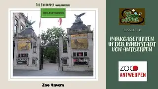 Zoohopper-TV Episode 4 (Zoo Antwerpen)