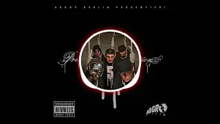 FLER FT. BASS SULTAN HENGZT - SCHLAMPE (INSTRUMENTAL) [RAP / HIPHOP BEAT]