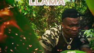 El Charri - Todav&iacute;a Me Llama