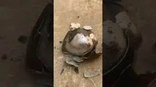 Turning Scrap Aluminum into a Snail Shell! #DIY #casting #restoration