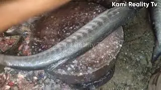 Fish Cutting Skills | Fastest Cutting Workers | Sea Food Cutting Skills