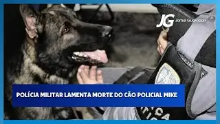 11/09/2024 - POLÍCIA MILITAR LAMENTA MORTE DO CÃO POLICIAL MIKE