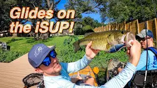 Tossing Glides on the SUP for Big Bass! Testing out the Savage Gear 3D Shine Glide