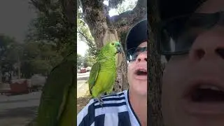 Papai &eacute; ciumento