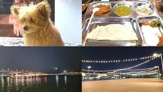 Exploring Dubai / Pets and birds Market / Weekend Vlog / Hindi Vlog