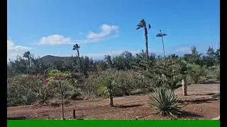 Golf Las Americas 18 1 2026 Los Cristianos