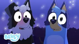 Bluey la Confesión de Amor ❤️ | Especial de Temporada