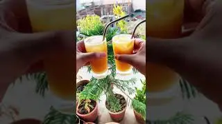Bel Ka Sharbat Recipe | Wood Apple Squash | Refreshing Summer drinks