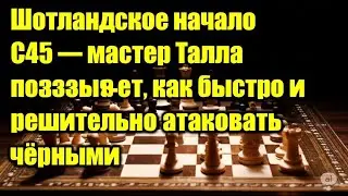 Шотландское начало C45 &mdash; мастер Талла показывает, как быстро и решительно атаковать чёрными.