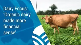 Dairy Focus: &lsquo;Organic dairy made more financial sense&rsquo;