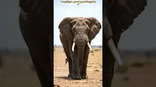 Fear vs Courage | Day 3🔥#Day3 #Fear#TamilMotivation #ElephantStory#Mindset#Shorts #Viral#trending#ai