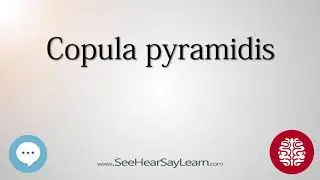 Copula pyramidis   Anatomy of the Brain   SeeHearSayLearn 🔊