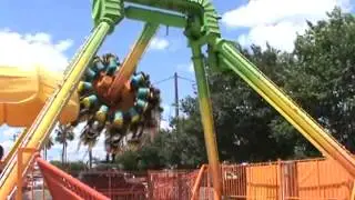 Dizzy Toucan at ZDTs